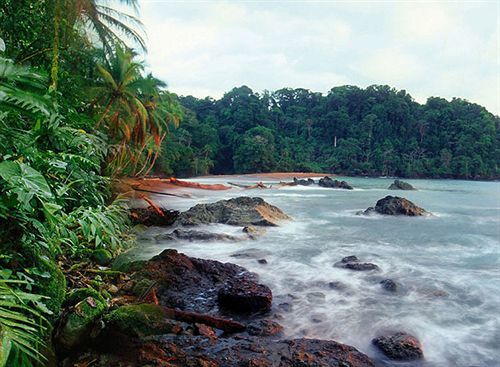 Sunrise Beach Hotel Puerto Viejo de Talamanca Luaran gambar