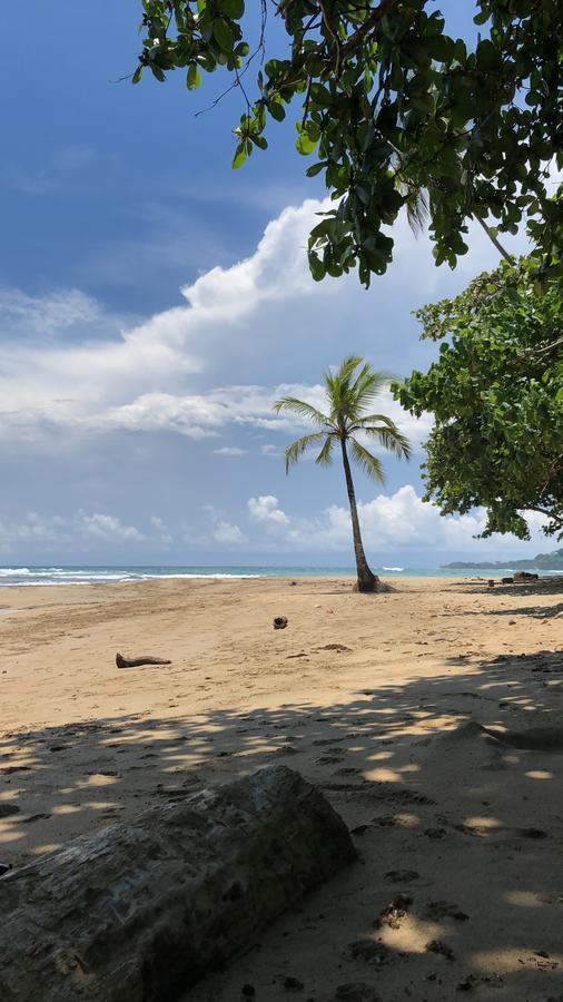 Sunrise Beach Hotel Puerto Viejo de Talamanca Luaran gambar